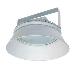 Commercial LED Fancy Light