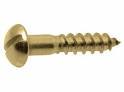 Durable Brass Wood Screw