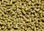 Green High Quality Broiler Feed