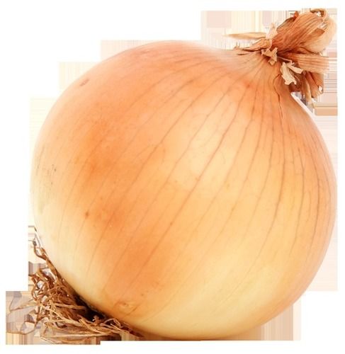 Organic Fresh Brown Onion
