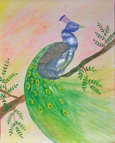 Peacock | Peacock drawing with colour, Oil pastel drawings easy, Easy love  drawings