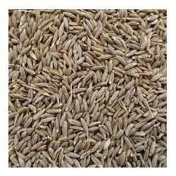 Quality Tested Cumin Seed