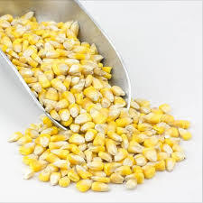 Yellow Maize - Field Corn, 8-9% Protein, 13% Moisture, Max 2.5% Admixture, Ideal for Animal Feeding