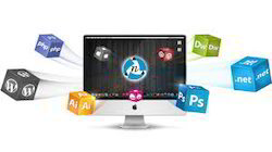 Development Services Provider