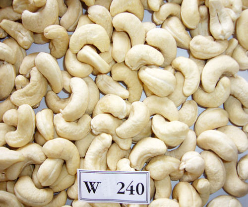 Cashew Nuts with High Nutrition