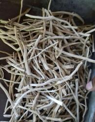 Herbal Product Dried Shatavari Root