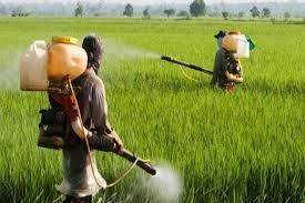 Natural Organic Agricultural Pesticides