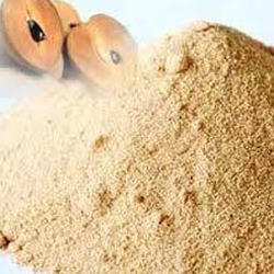 SPRAY DRIED CHICKOO POWDER