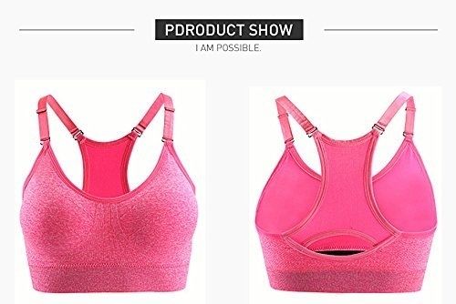 Seamless Yoga Sports Bra For Women at Best Price in Guangzhou
