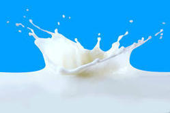 Full Cream Pure Milk - 100% Fresh Cow Milk, No Additives or Preservatives, Naturally Rich in Vitamins and Minerals