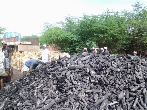 High Grade Wood Charcoal