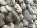 Releza Raw Cashew Nuts