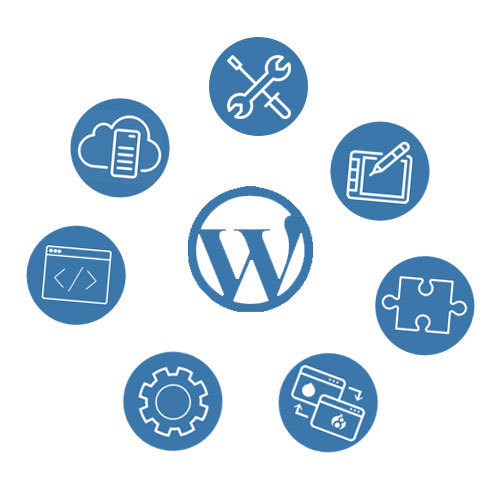 Titanium Wordpress Development Service