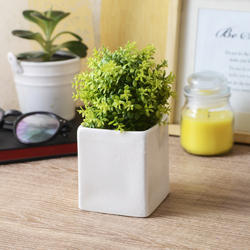 White Square Glazed Ceramic Table Top Planter Pot