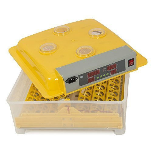 Duck Egg Incubator