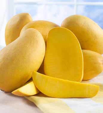 Fresh Yellow Mango