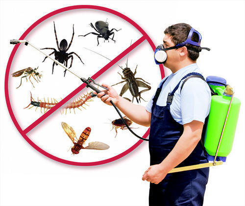 Black Commercial Pest Control Services