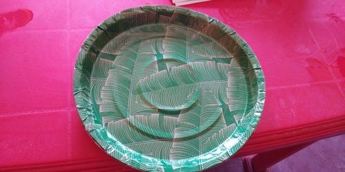 Disposable Simple Paper Plates