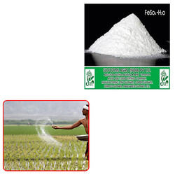 Ferrous Sulphate Monohydrate For Agriculture