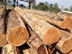 High Grade Teak Wood - Superior Quality Timber | Durable, Naturally Resistant to Rot and Insects