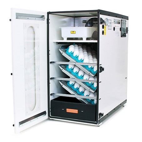 Poultry Mid Size Incubator