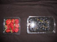 Plastic Fruit Packing Boxes