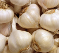 100% Fresh Whole Garlic