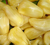 100% Organic Fresh Jackfruit