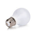 Ac Dc Bulbs (9w)