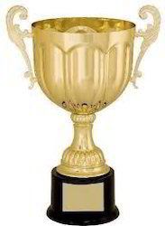 Gold Coated Metal Cup Trophy