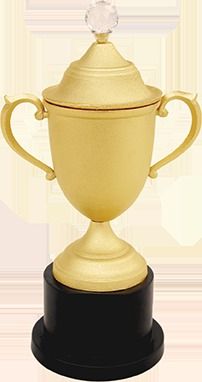 Gold Cup Trophy With Top Crystal