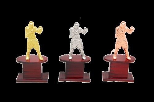Sports Boxing Trophy - Gold, Silver, Bronze