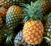 100% Pure Fresh Pineapple