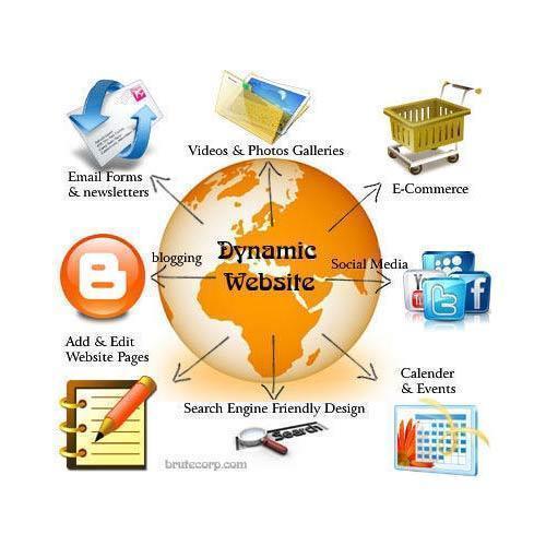 Dynamic Development - Interactive and Customizable Solutions | Personalized Design by Expert Professionals