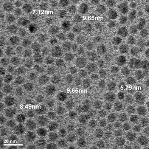 Monodisperse Silver Nanoparticles Powder