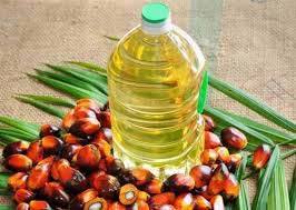 Pure Edible Palm Oil