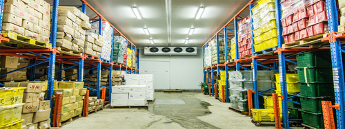 Multi Commodity Vegetable Cold Storage