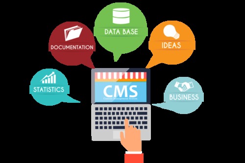 Dynamic Development Services