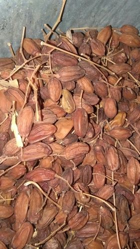 Natural Herbal Neem Seed