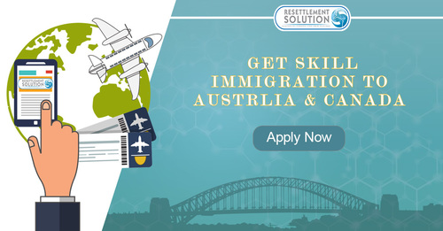 Oil Proof Resettlement Solution Best Immigration Consultant Services