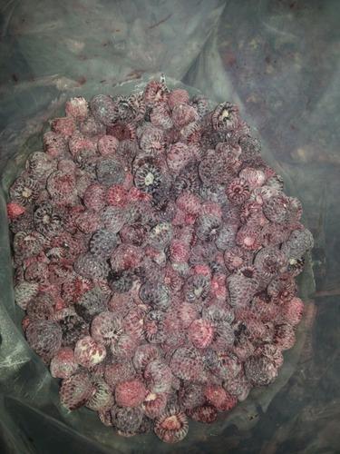 Rich In Taste Frozen Raspberries