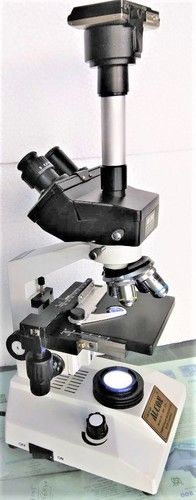Trinocular Microscope With Camera