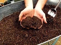 Best Organic Manure