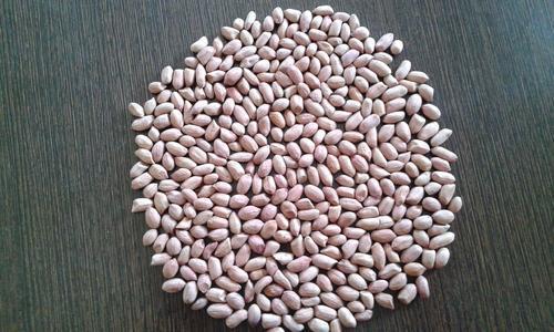 Highly Nutrition And Best Quality Groundnuts