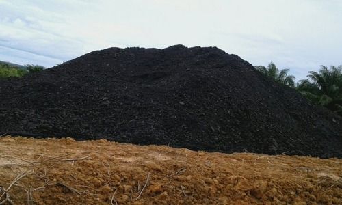 Steam Coal East Kalimantan