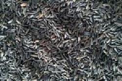 Top Quality Niger Seeds