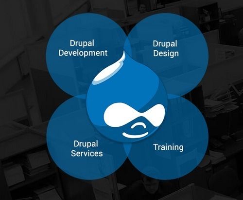 Drupal Web Development Services