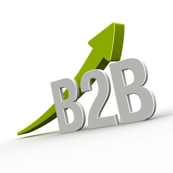 B2b Portal Services Provider