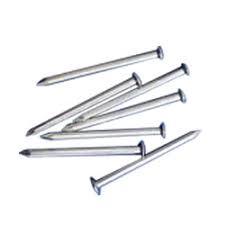 Best Price SS Wire Nail