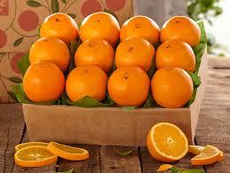 Fresh Oranges Fruits